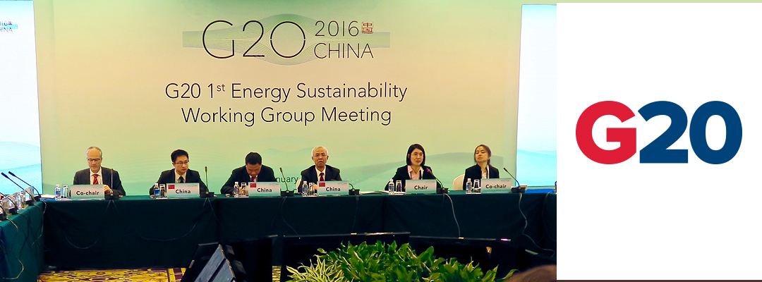 G20-Energy-Ministers_29-Jan-2016