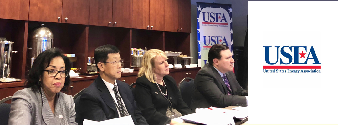 _2018-1st-IEF-USEA-Industry-Advisory[1]