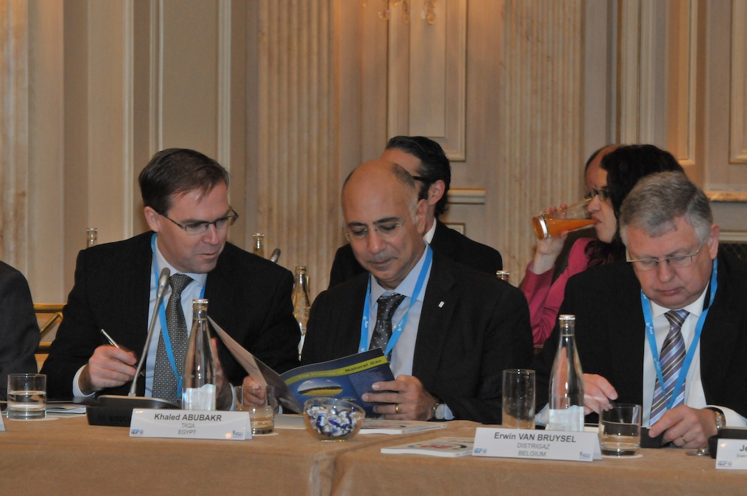 IEF IGU Ministerial Gas Forum  (176)  11 16 2012