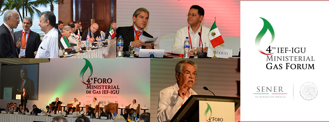 IEF-IGU-Ministerial-Gas-Forum-2014