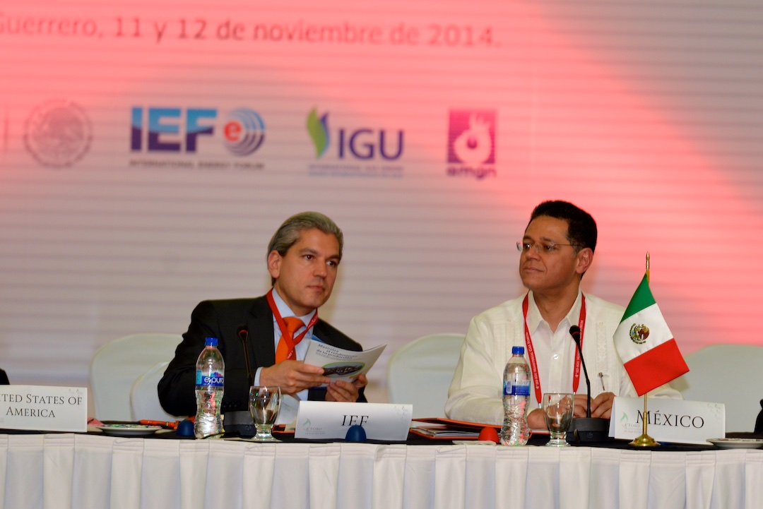 IEFIGUMinisterialGasForumAcapulco2014  (11)  11 13 2014