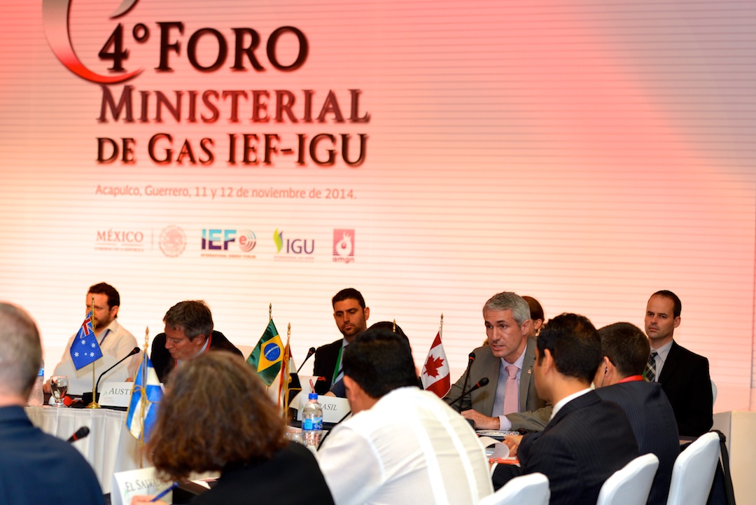 IEFIGUMinisterialGasForumAcapulco2014  (25)  11 13 2014