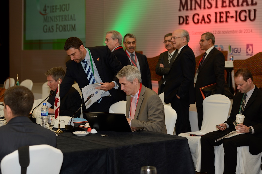 IEFIGUMinisterialGasForumAcapulco2014  (39)  11 12 2014