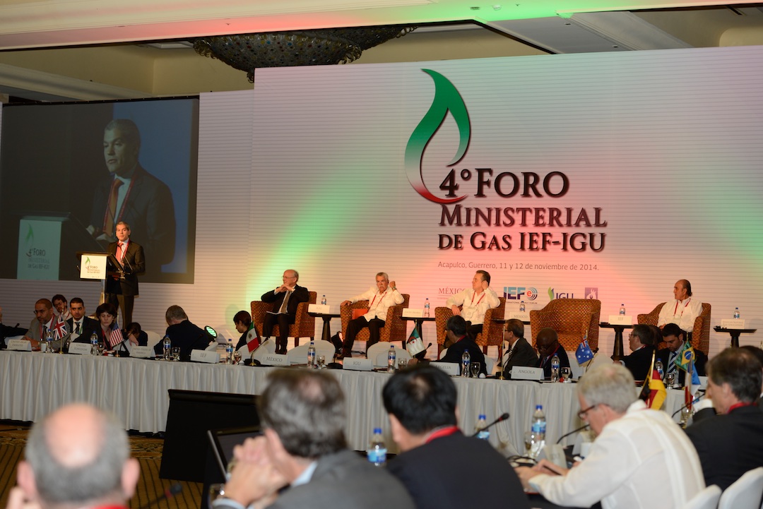 IEFIGUMinisterialGasForumAcapulco2014  (43)  11 12 2014