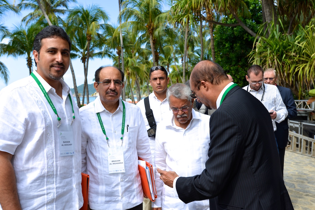 IEFIGUMinisterialGasForumAcapulco2014  (59)  11 12 2014