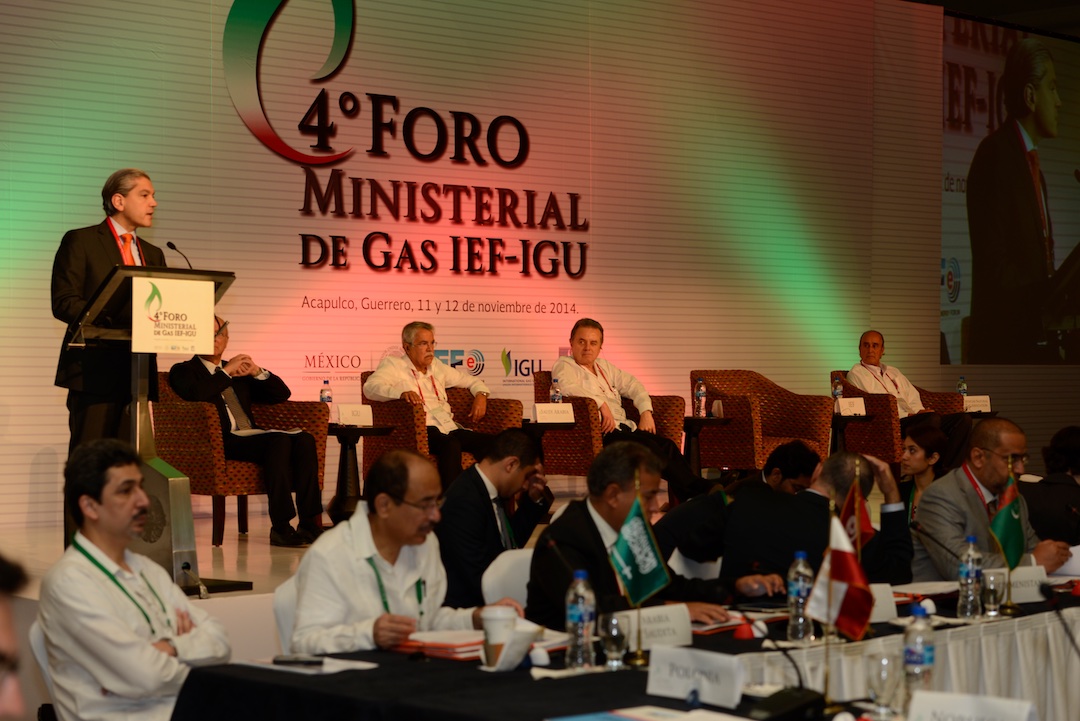 IEFIGUMinisterialGasForumAcapulco2014  (7)  11 12 2014