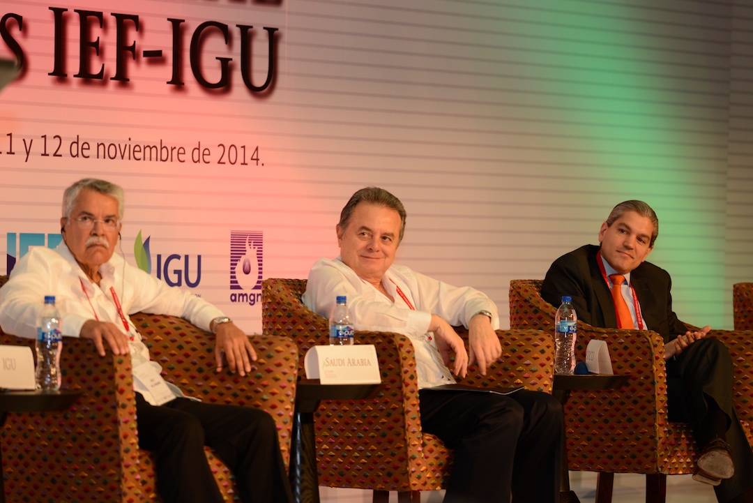 IEFIGUMinisterialGasForumAcapulco2014  (9)  11 12 2014
