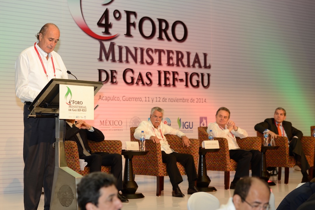 IEFIGUMinisterialGasForumAcapulco2014  (99)  11 12 2014
