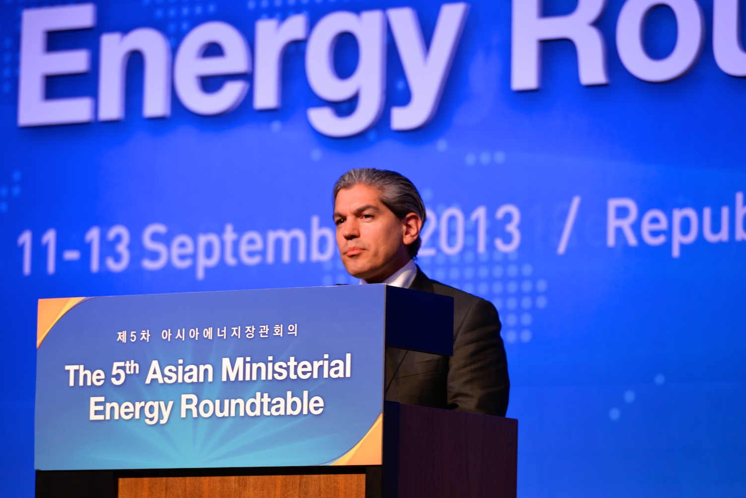 5th Asian Ministerial Energy RT   (65)  09 12 2013