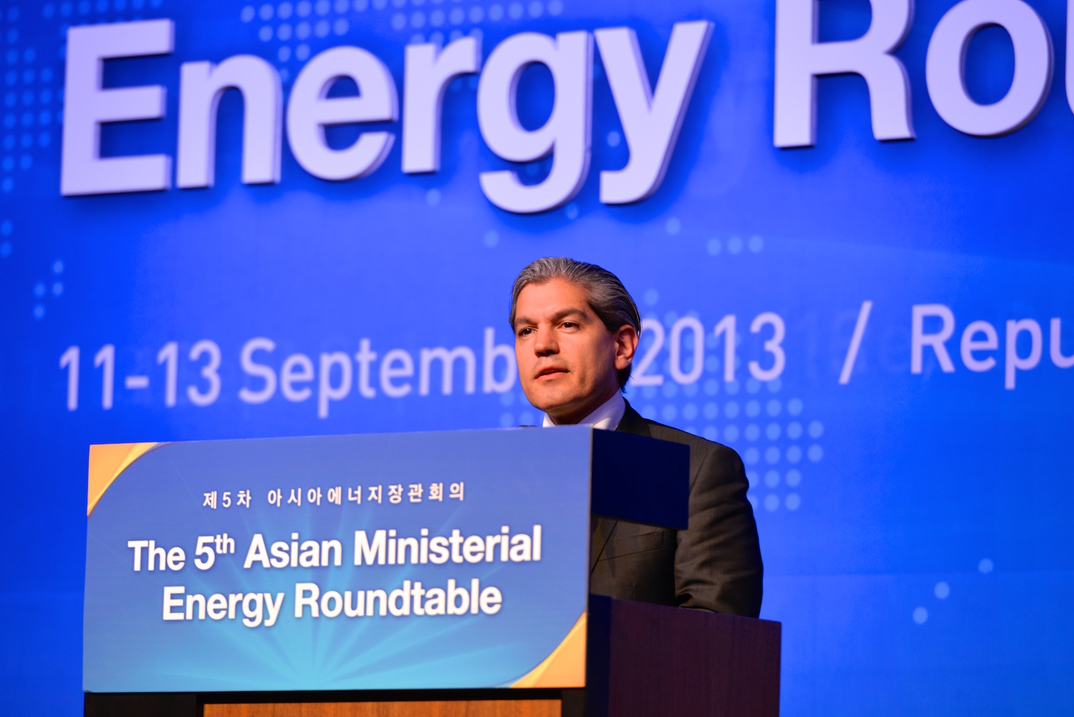 5th Asian Ministerial Energy RT   (66)  09 12 2013