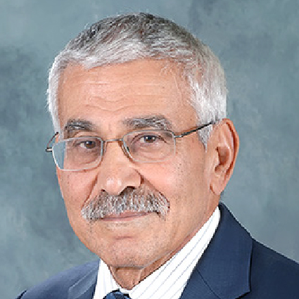 Dr Adnan Shihab-Eldin