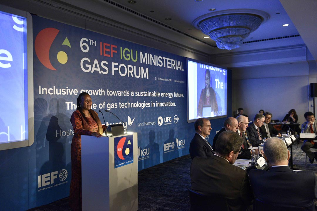 18.11.22GasMinisterialForum152