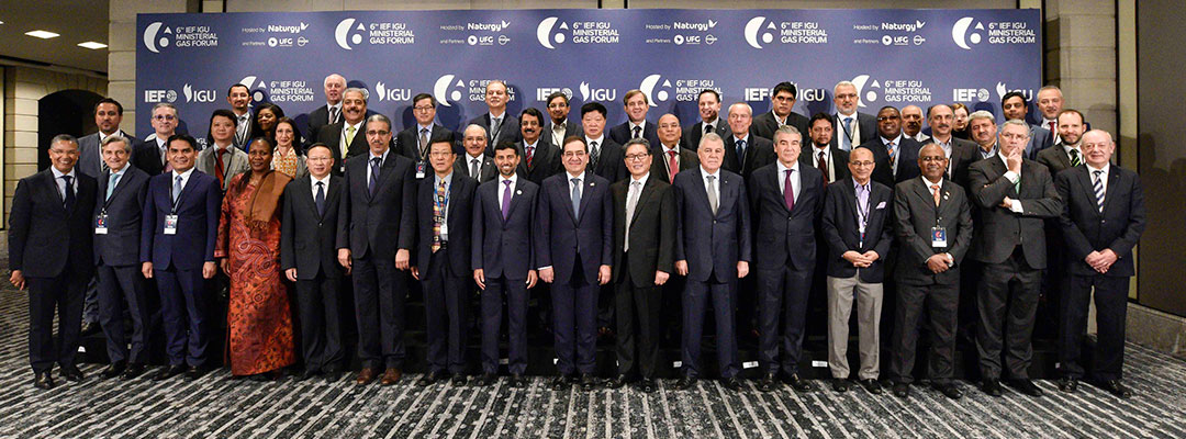 6th IEF IGU Ministerial Group Photo