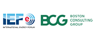 IEF-BCG