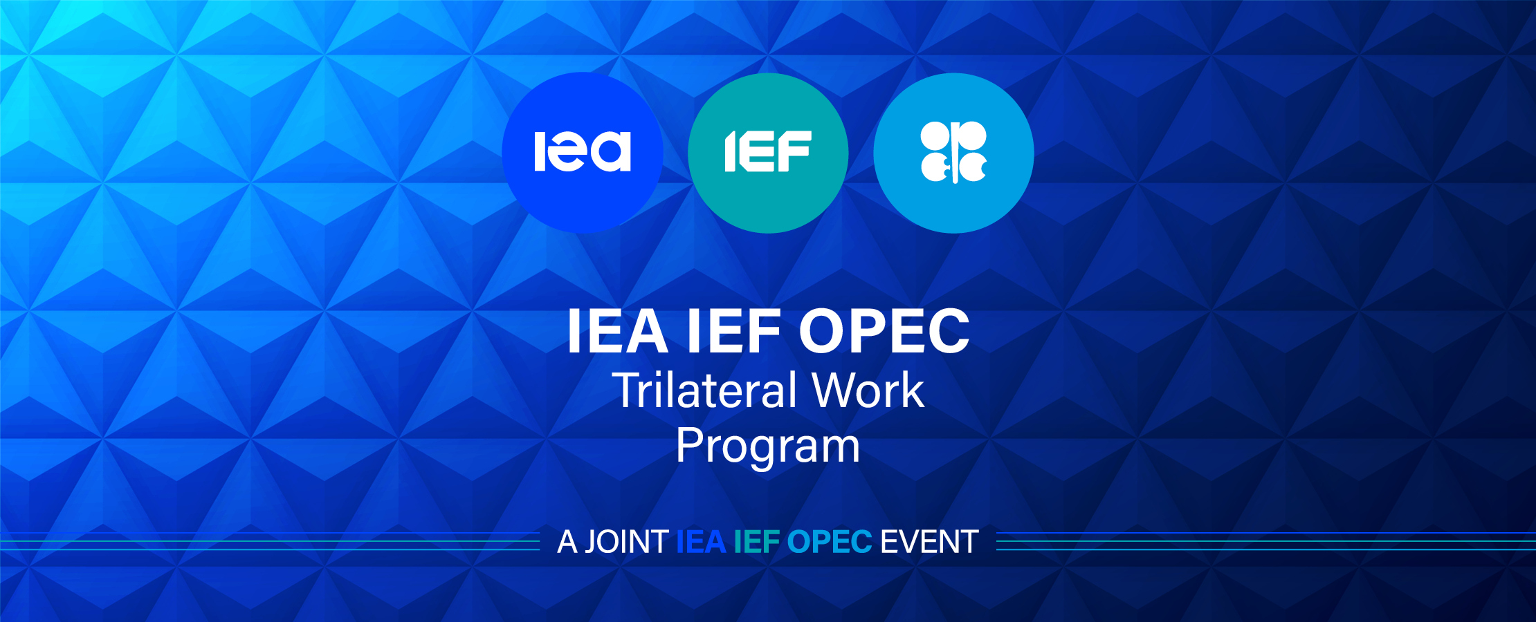 IEF Trilateral Work Program