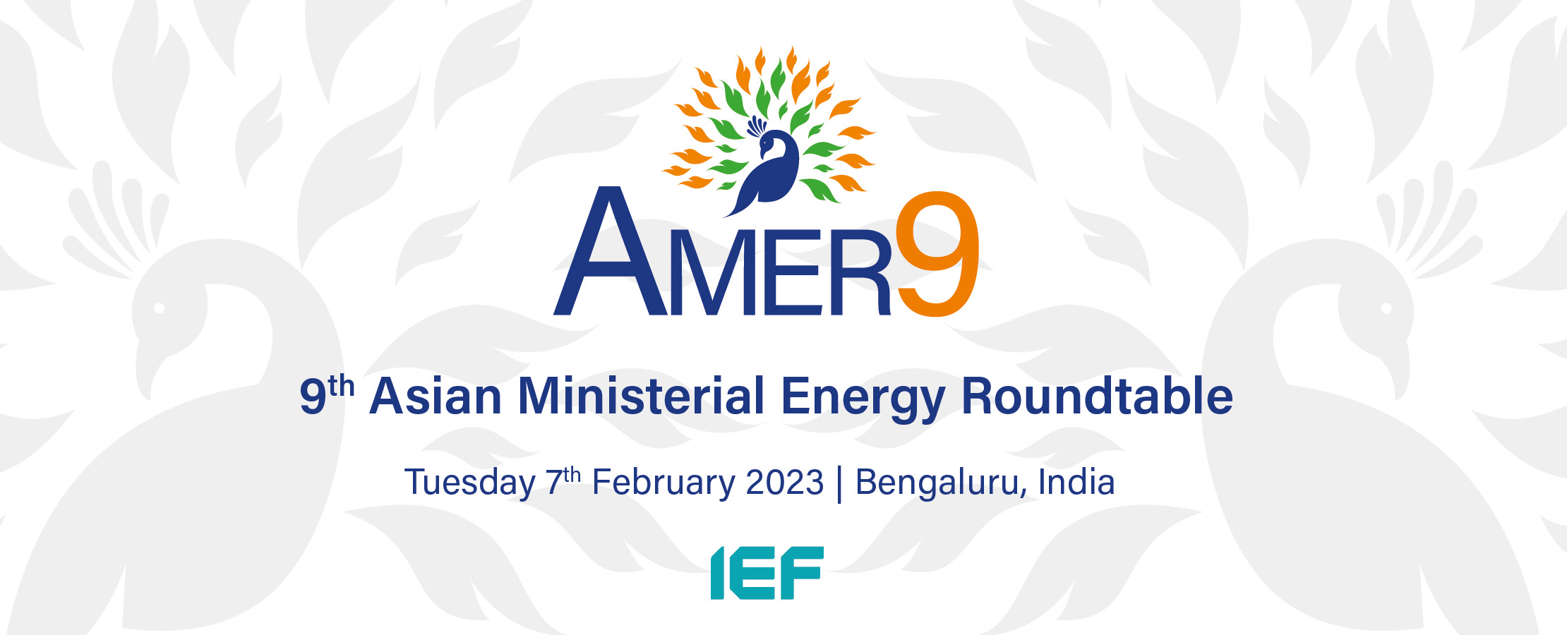9th Asian Ministerial Energy Roundtable