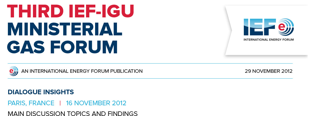 Dialogue Insights - Third IEF-IGU Ministerial Gas Forum