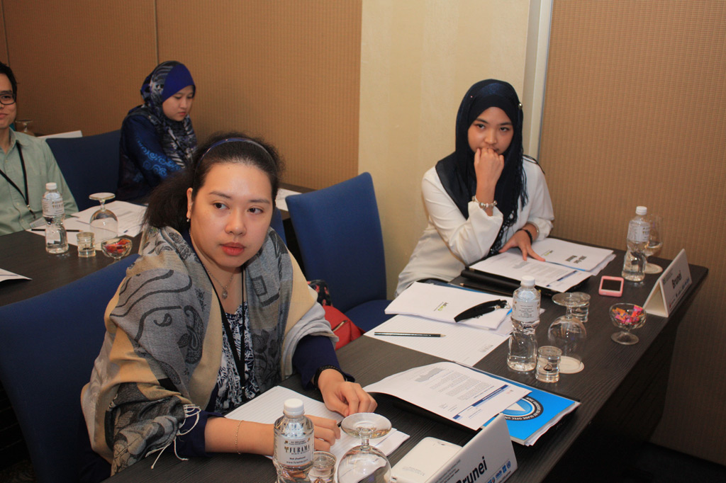 8th-Regional-JODI-Training-Workshop-for-Asia-and-Pacific-Region-6