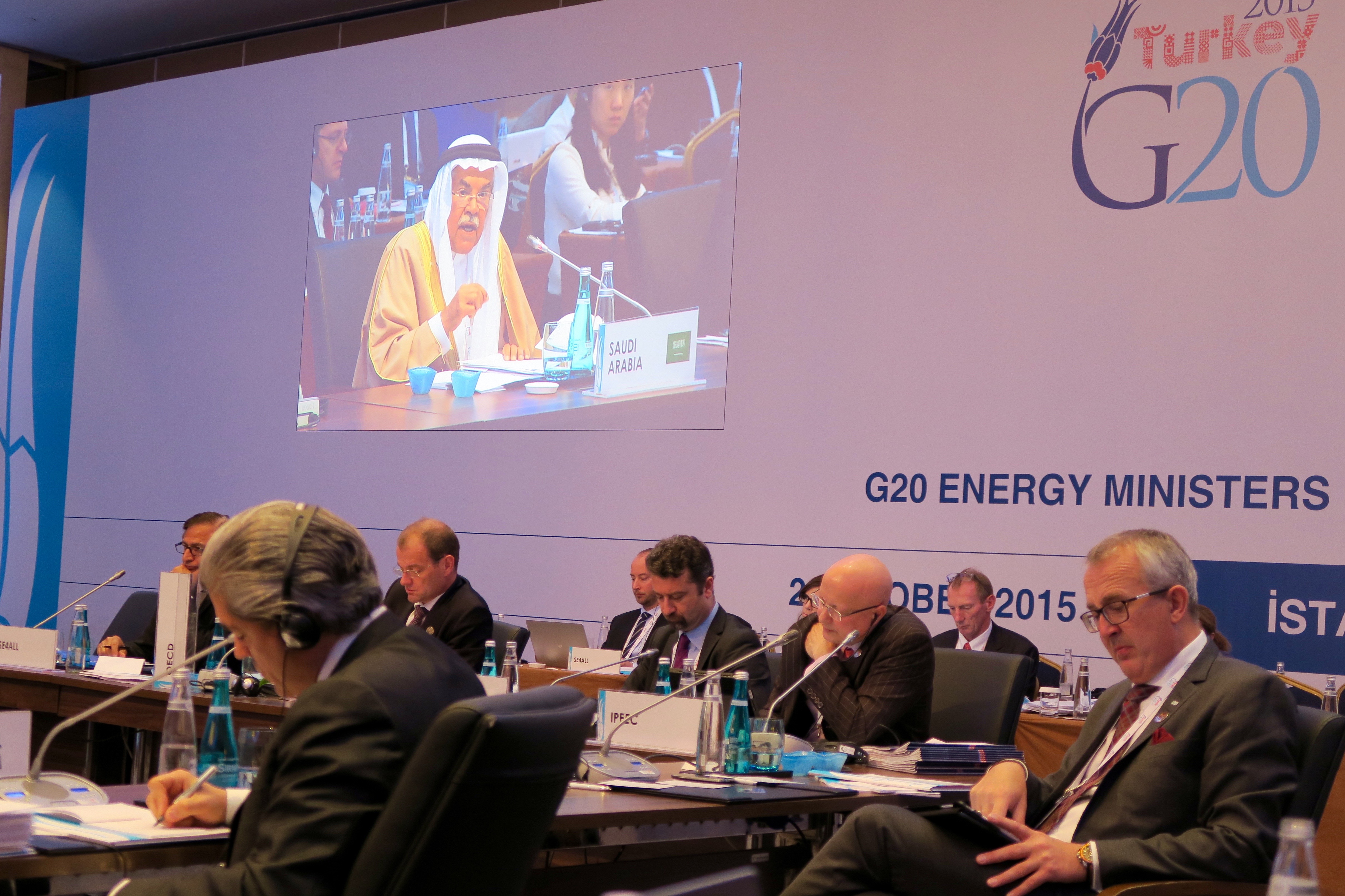G20-energy-ministers-meeting-and-conference-on-energy-access-2