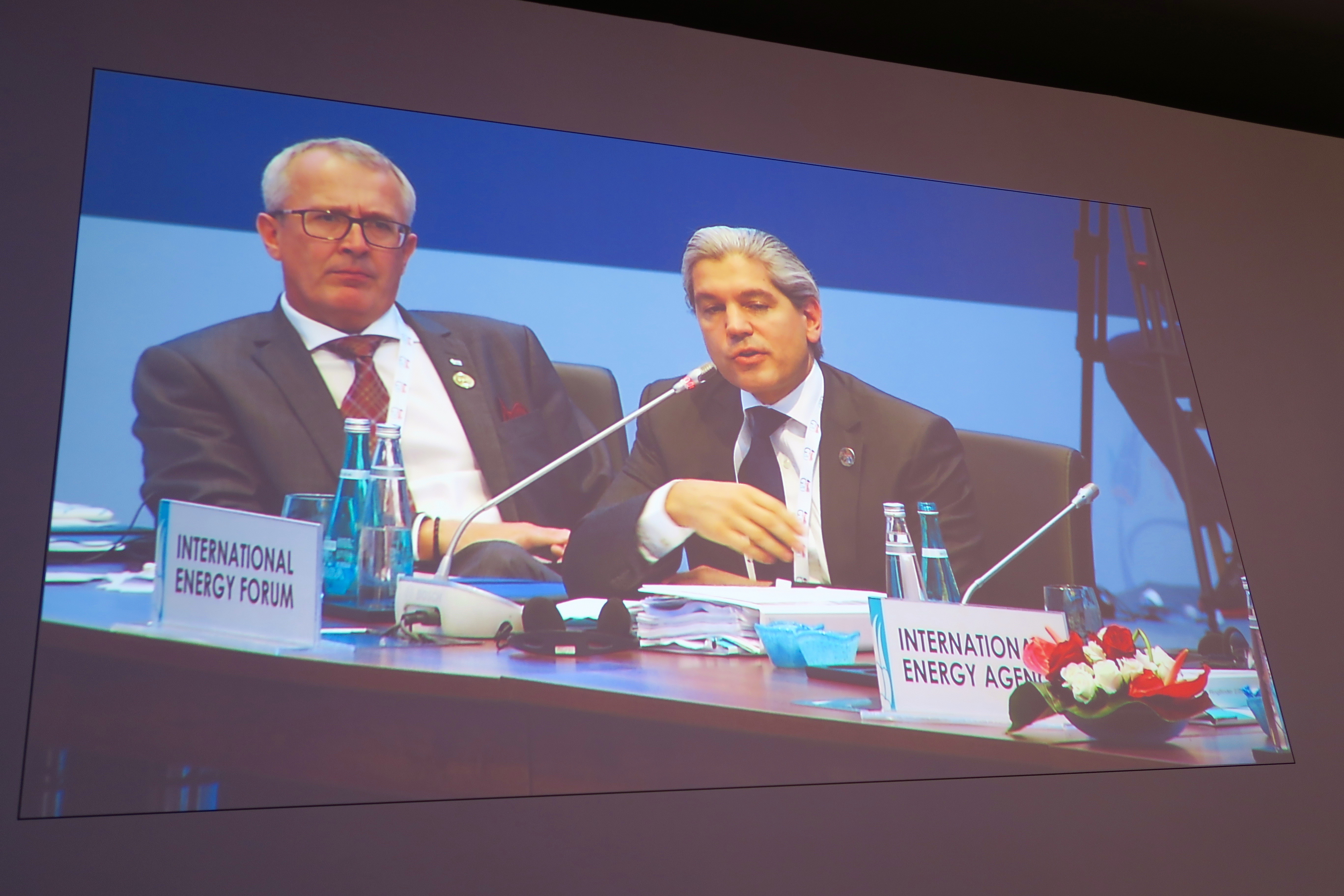 G20-energy-ministers-meeting-and-conference-on-energy-access-3