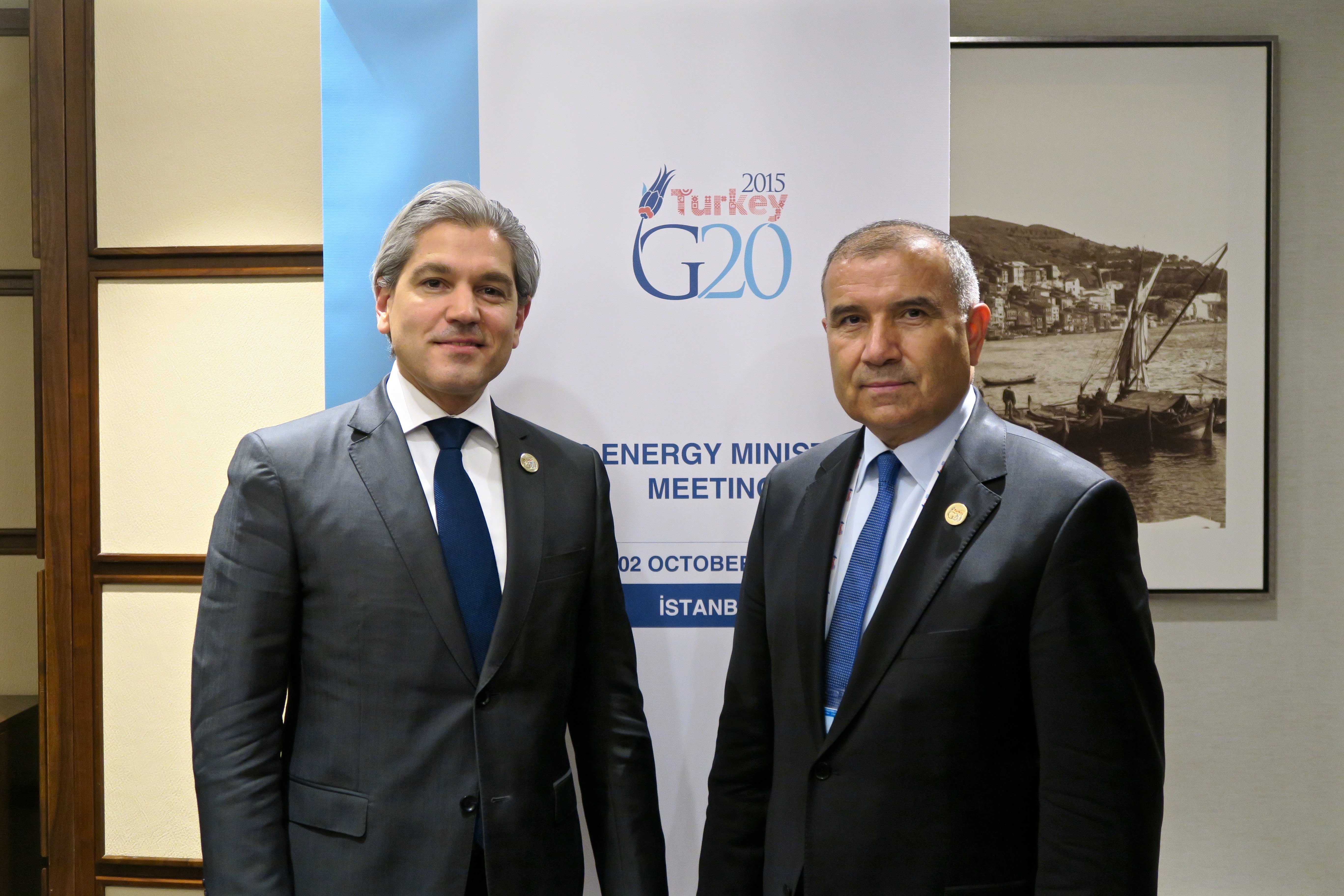 G20-energy-ministers-meeting-and-conference-on-energy-access-4