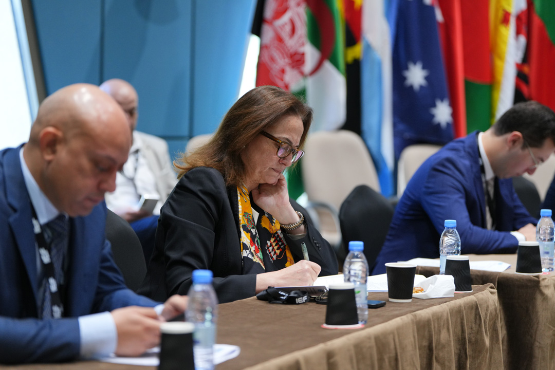 IEF 2025   Session 2 44