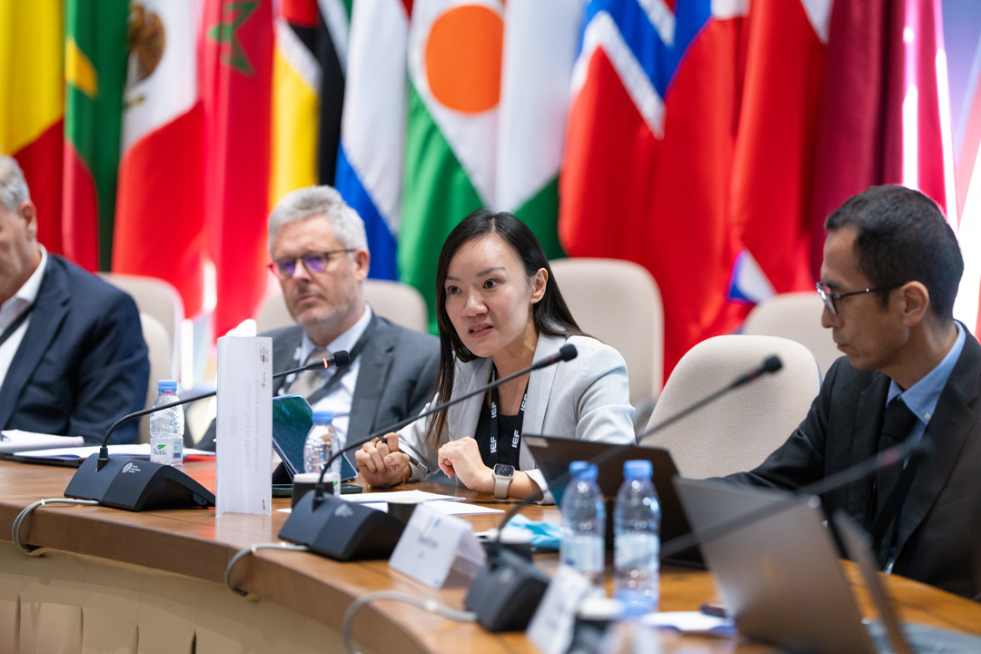 IEF 2025   Session 3 33