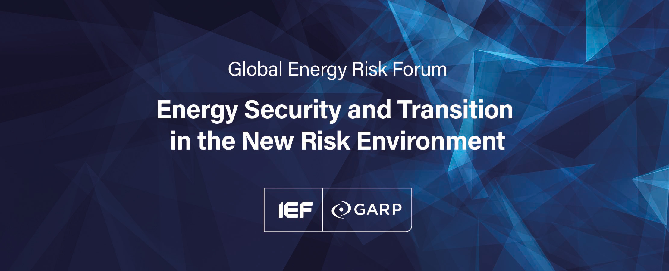 First IEF-GARP Global Energy Risk Forum