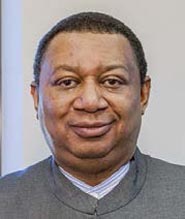 H.E. Mohammad Sanusi Barkindo