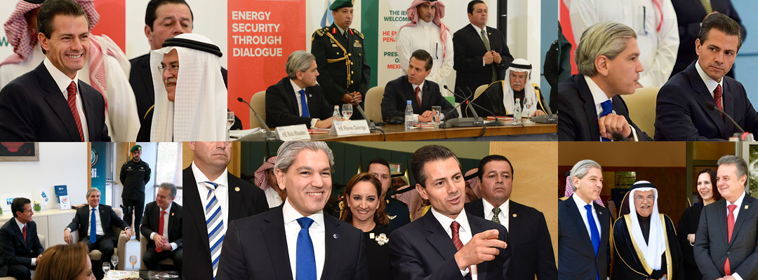 Mexico Energy Day