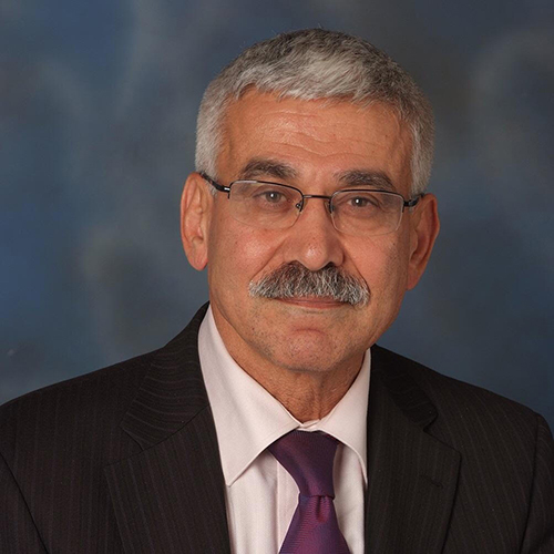 Adnan Shihab-Eldin