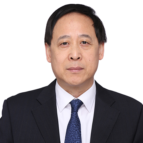 H.E. Lin Shanqing