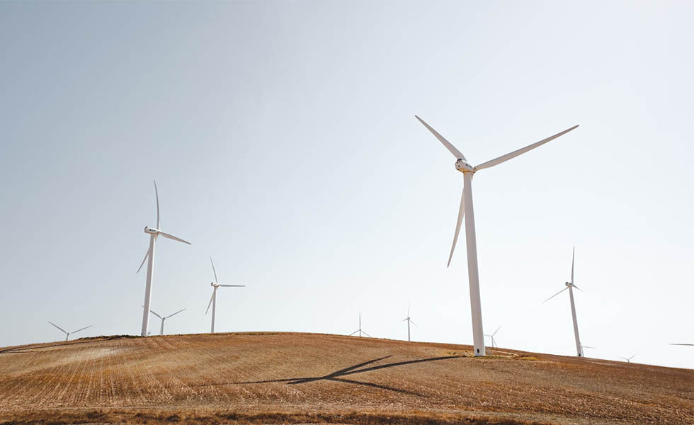 Photo of wind turbines