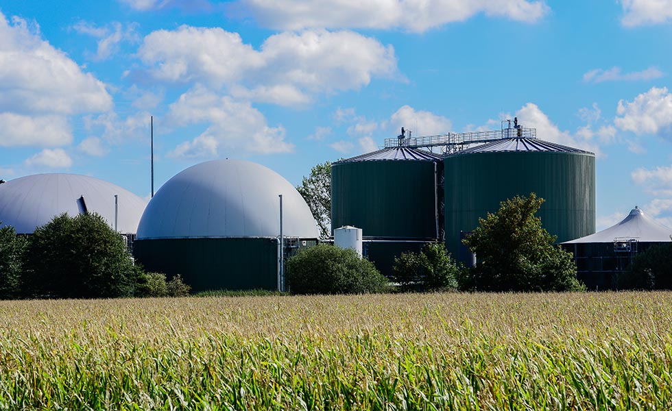 Photo of crops and silos