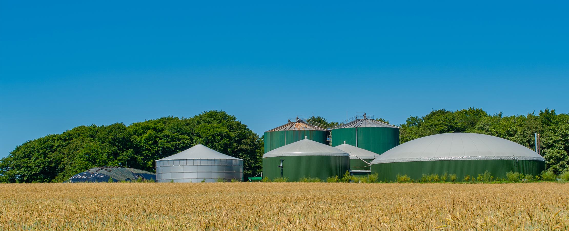 Biomethane Banner Image