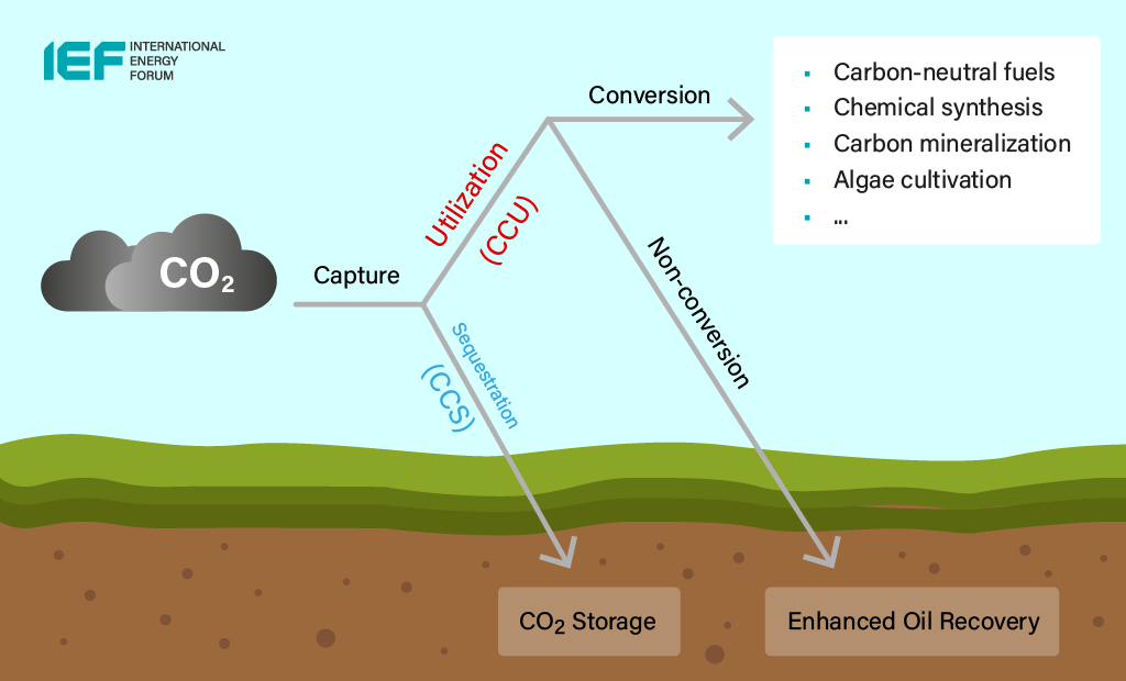 CCUS Process