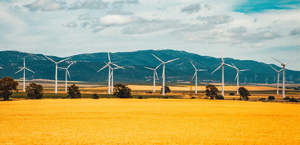 Photo of a wind farm