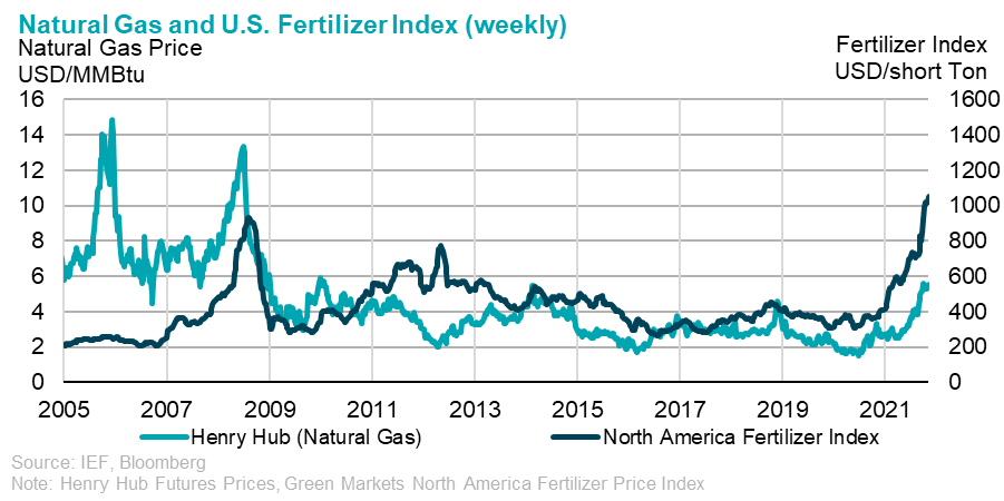 Chart: Natural Gas and Fertilizer Index - Natural Gas Price