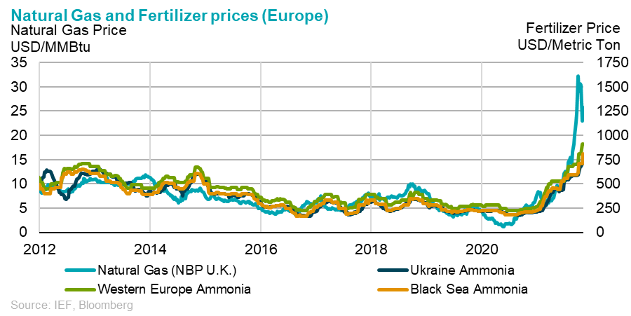 Chart: Natural Gas and Fertilizer Index (Europe) - Natural Gas Price