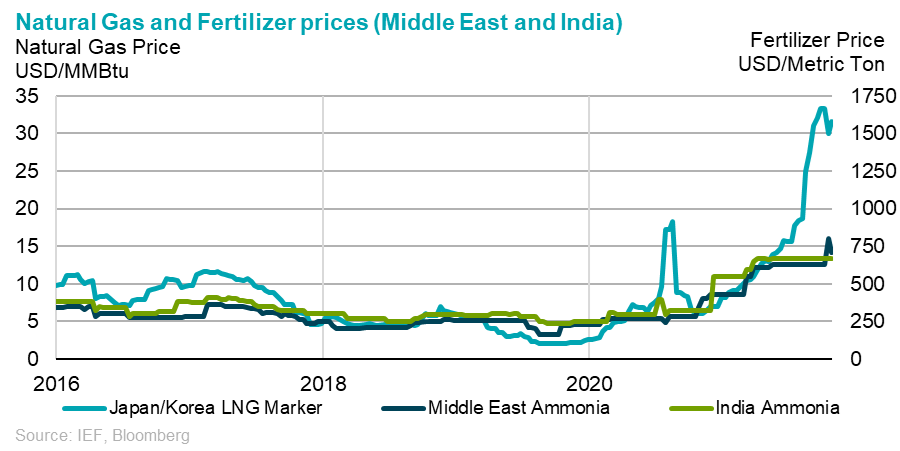 Chart: Natural Gas and Fertilizer Index (Middle East and India) - Natural Gas Price
