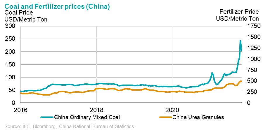 Chart: Coal and Fertilizer Prices (China) - Coal Price