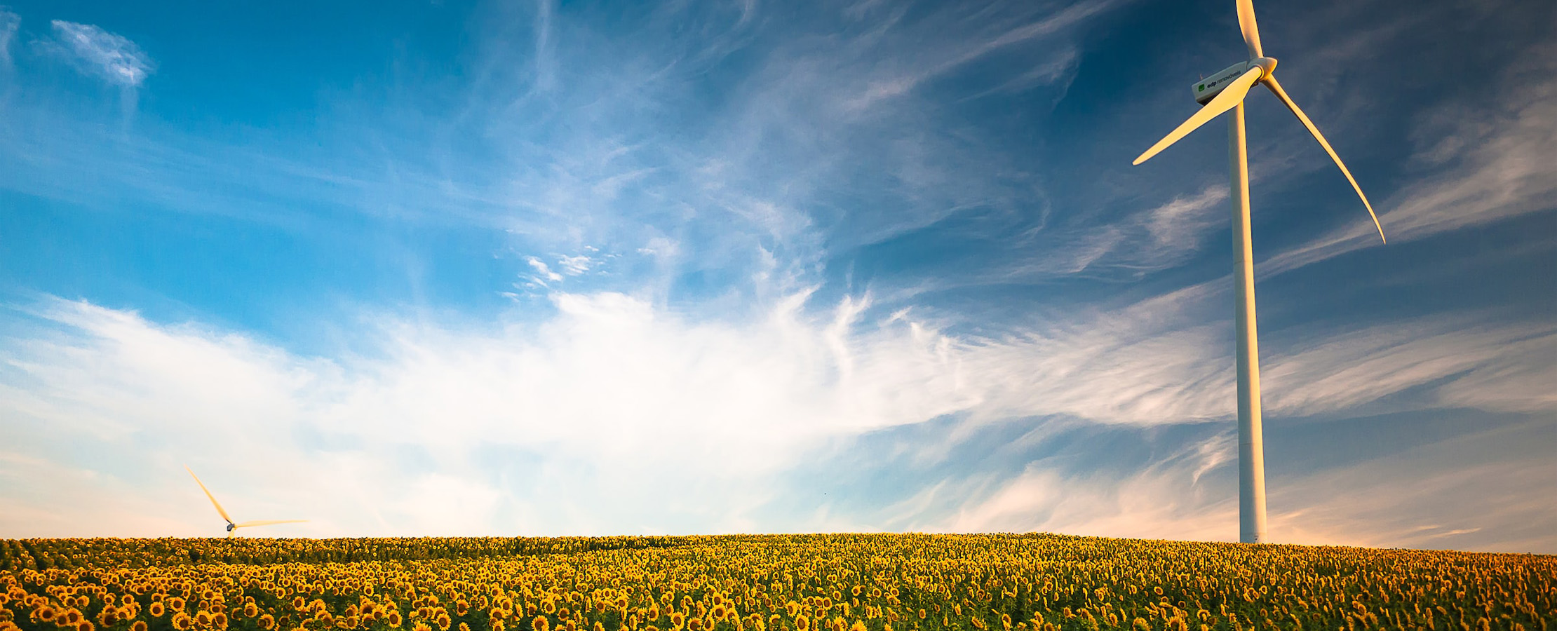 Websitebanner Lowcarbonfuels