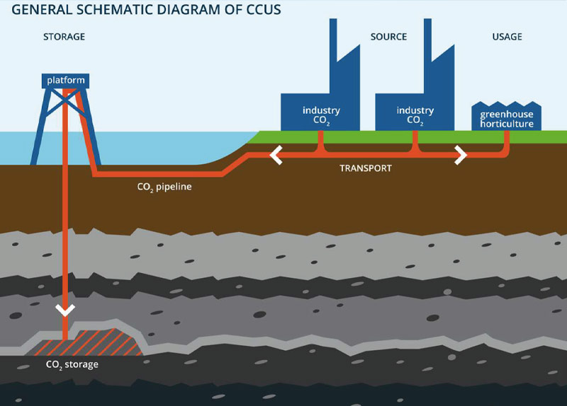 General Schematic Diagram of CCUS