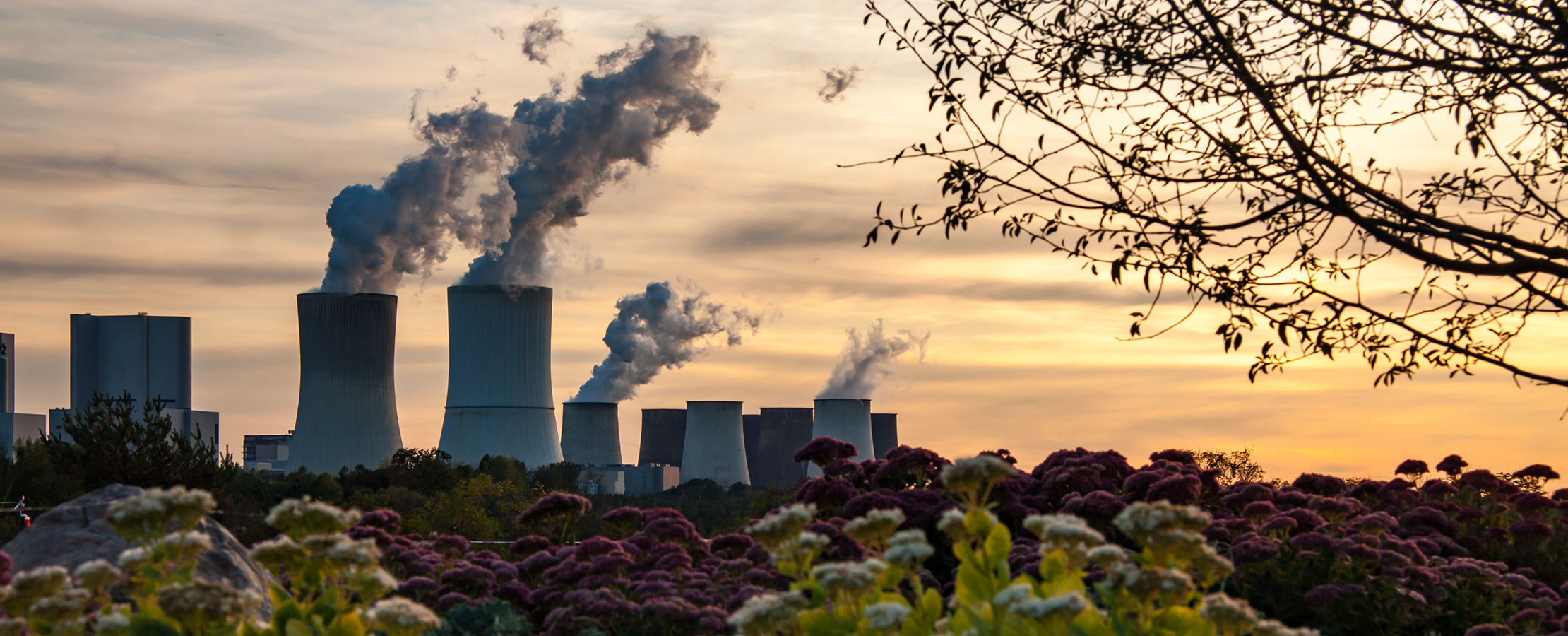 Cooling Towers Vegetation