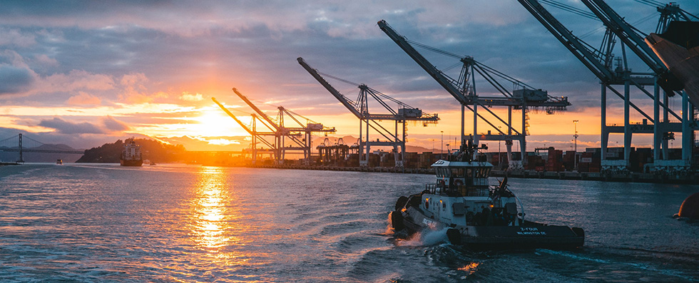 Photo of cranes in an oil port
