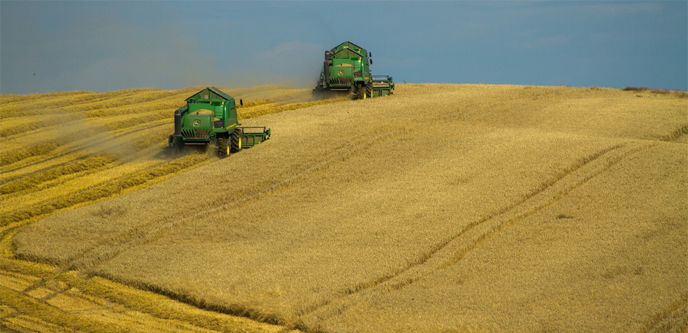 Photo of a field full of crops being harvested