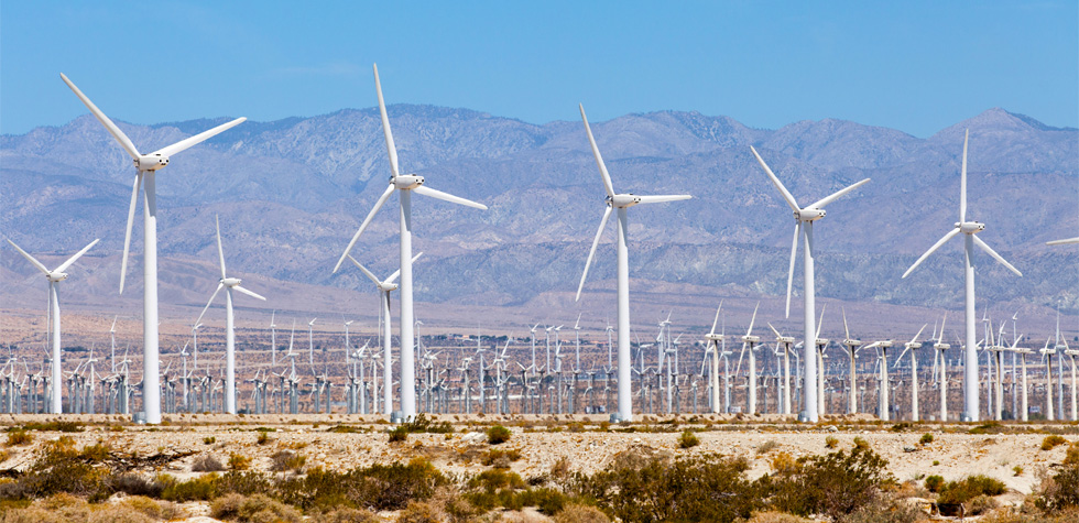 Photograph of a wind farm