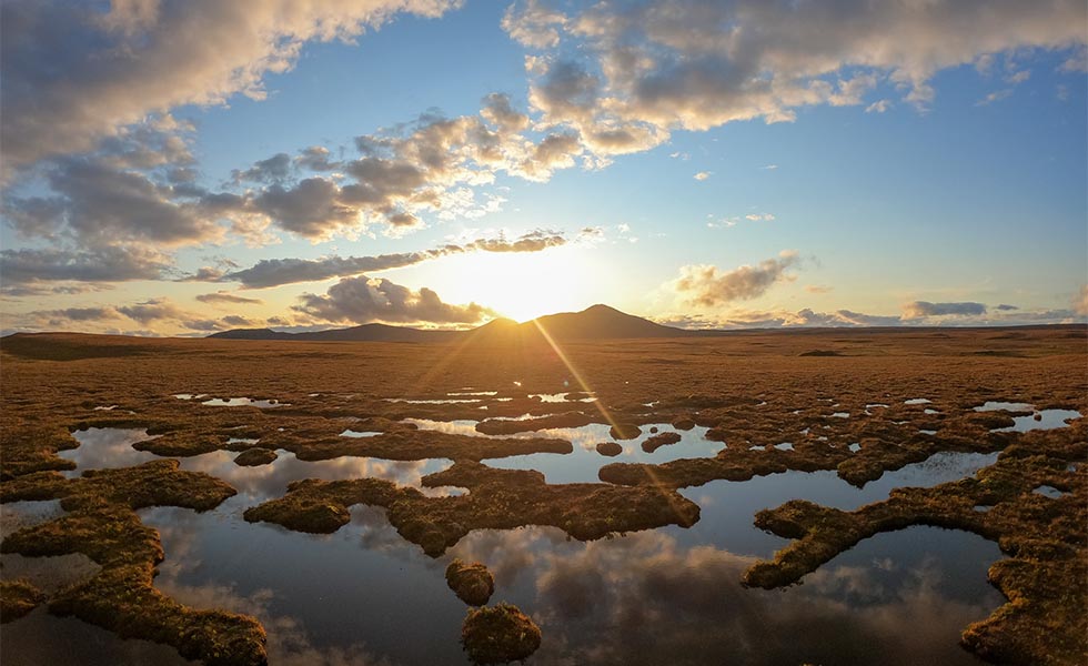 Peatland photo