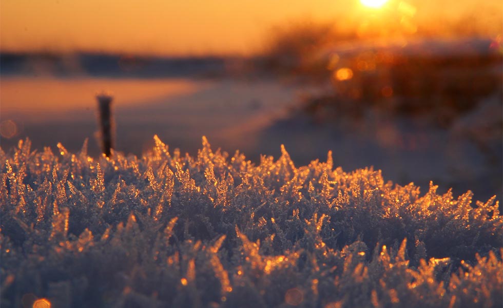 Photo of ice/frost in the sunlight