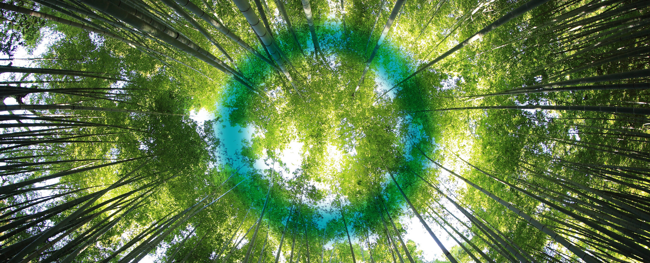 G20 Endorse the Circular Carbon Economy